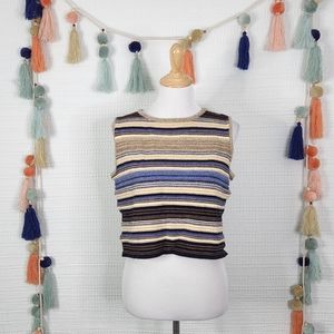 St. John Blue and Brown Striped Crop Top